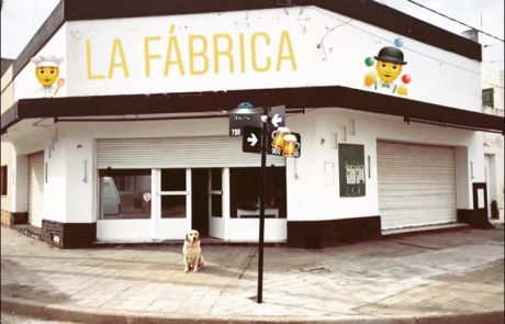 Fabrica-Pellegrini-y-Newton-Cerveza-Artesanal-Maria